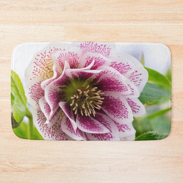 Item preview, Lenten rose designed and sold by KellyRHarding.