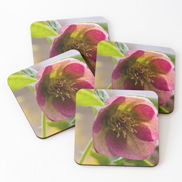 Item preview, Micro flower designed and sold by KellyRHarding.