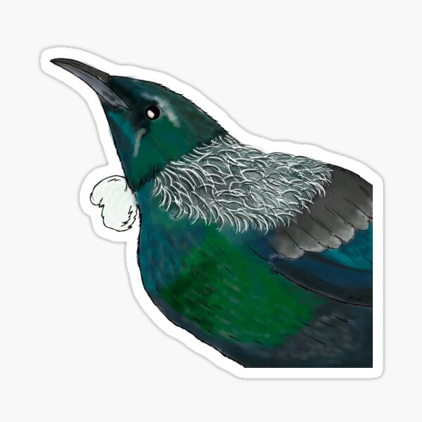 Vista previa del artículo con la obra «Tui», diseñado y vendido por LizCoatsArtNZ.
