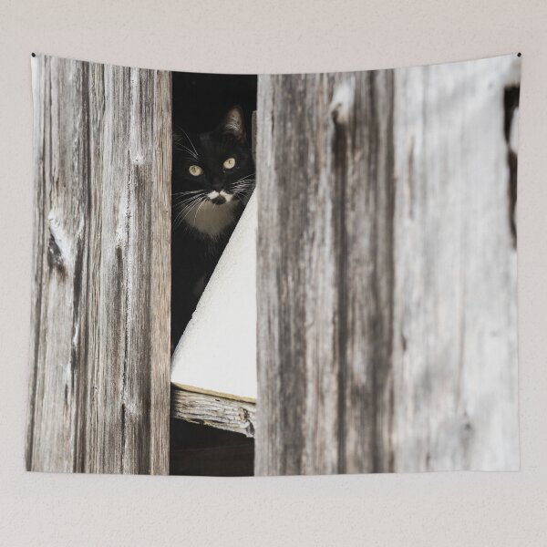 Item preview, Swiss Barn Cat designed and sold by Andrea Wooles.
