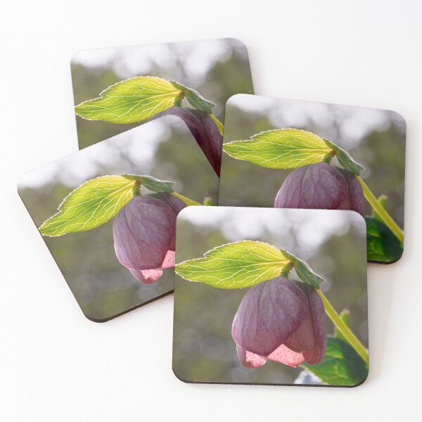Item preview, Glowing leave above rose designed and sold by KellyRHarding.