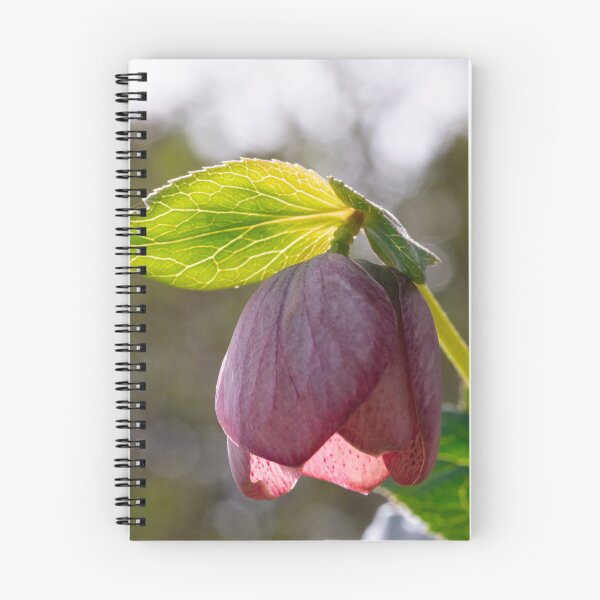 Item preview, Licencia brillante sobre rosa designed and sold by KellyRHarding.