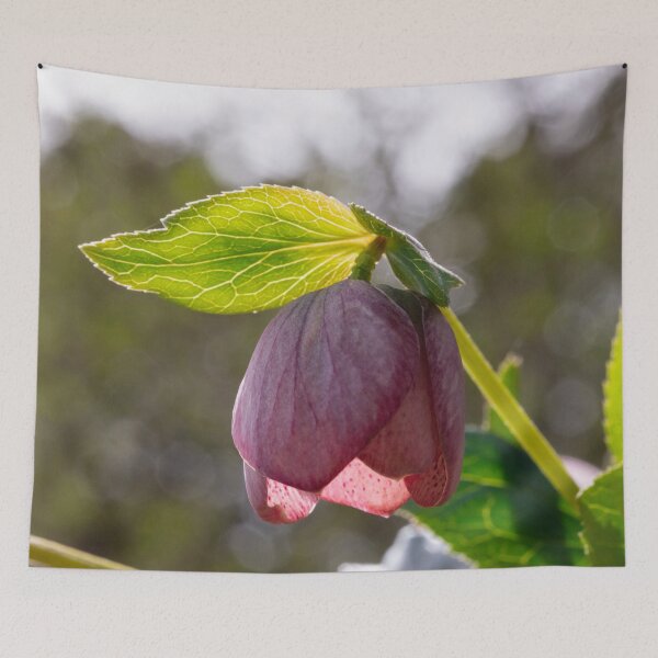 Item preview, Glowing leave above rose designed and sold by KellyRHarding.