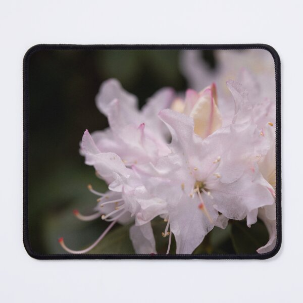 Item preview, A wisp of a flower designed and sold by KellyRHarding.