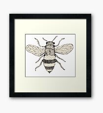 Bumble Framed Print