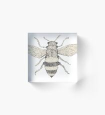 Bumble Acrylic Block