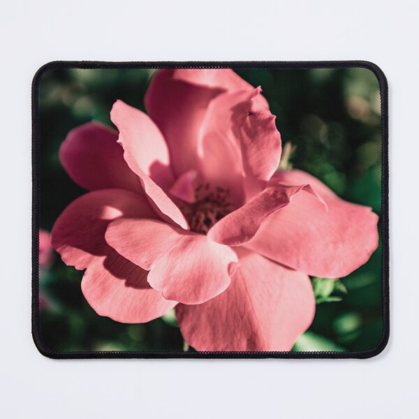 Item preview, Pale Flower  designed and sold by ZachCaraway.