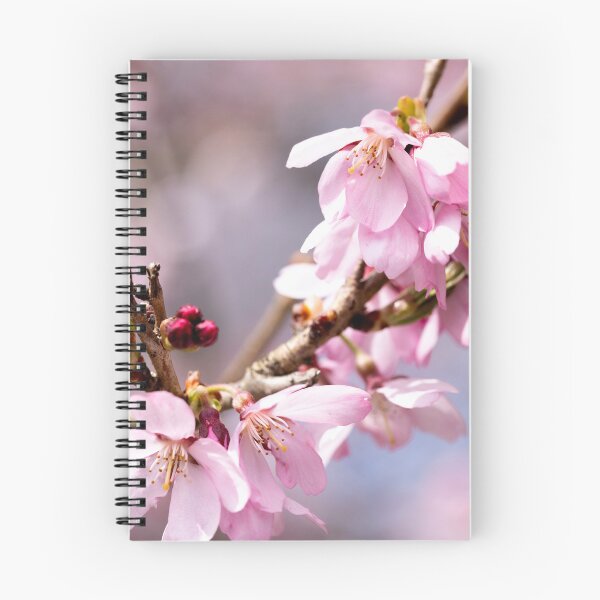 Item preview, Cherry flowers on a branch designed and sold by KellyRHarding.