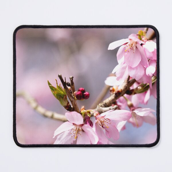 Item preview, Cherry flowers on a branch designed and sold by KellyRHarding.
