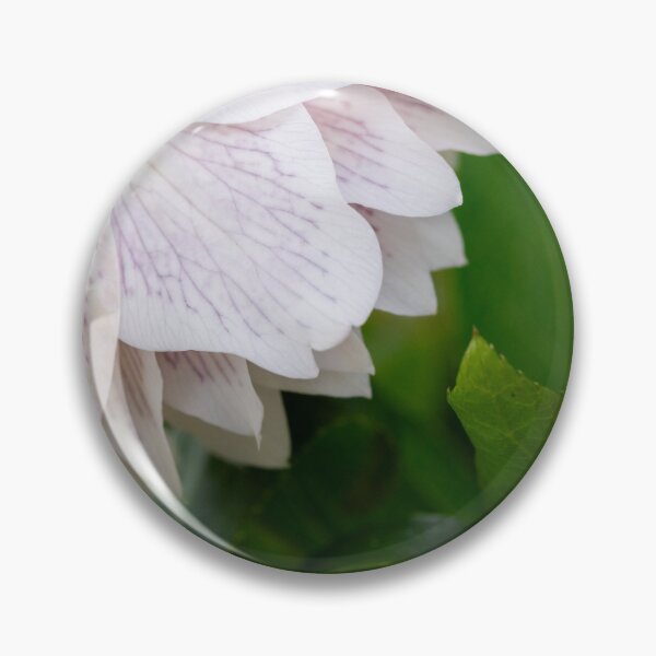 Item preview, Growing rose designed and sold by KellyRHarding.