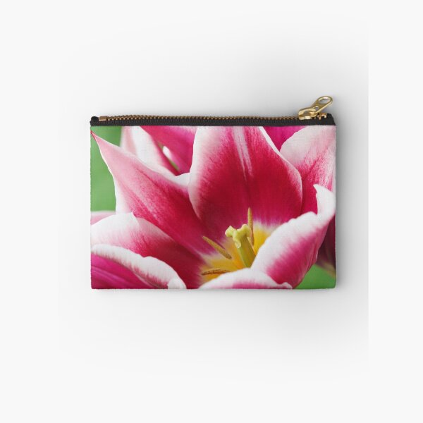 Item preview, Tulipa  'Ballade'  AGM  Tulip  Lily-flowered Group  April designed and sold by Chris Burrows.