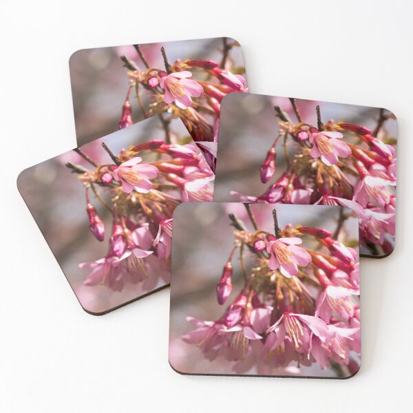 Item preview, Blooming cherry trees designed and sold by KellyRHarding.