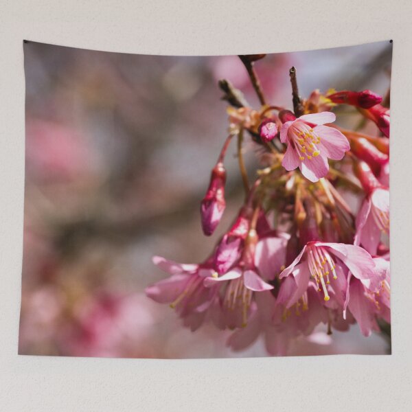 Item preview, Blooming cherry trees designed and sold by KellyRHarding.