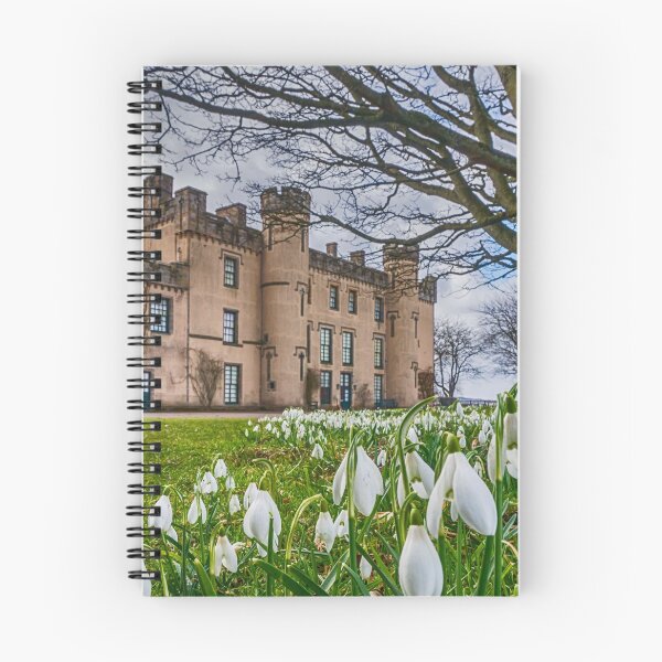 Item preview, Snowdrops at the House of the Binns designed and sold by Dougie Milne Photography .