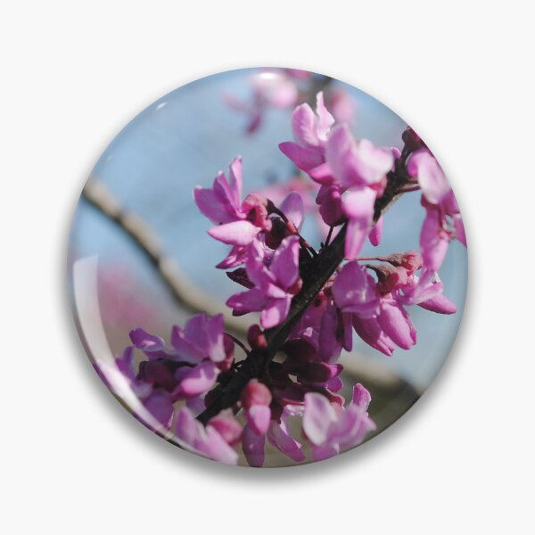 Artikelvorschau, Springender Redbud entworfen und verkauft von NAImagery.