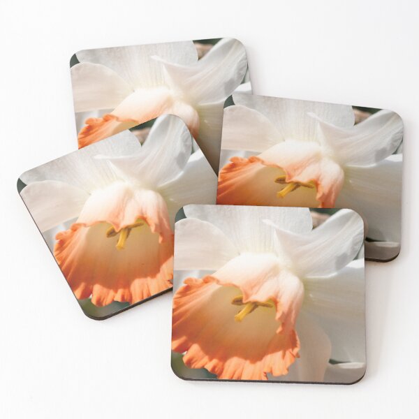 Item preview, Close-up of a daffodil designed and sold by KellyRHarding.