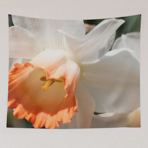 Item preview, Close-up of a daffodil designed and sold by KellyRHarding.