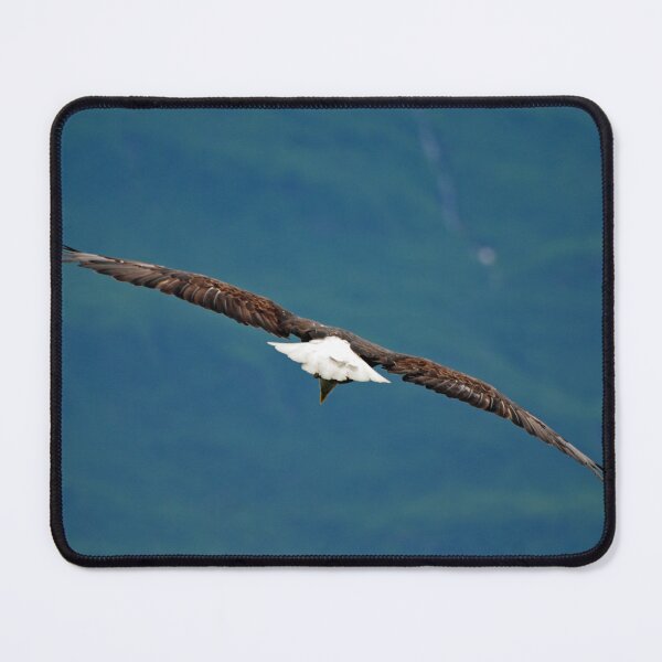Item preview, Bald Eagle Fly By designed and sold by Barbara Burkhardt.