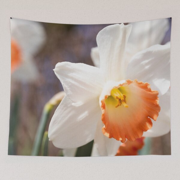 Item preview, A portrait of a daffodil designed and sold by KellyRHarding.