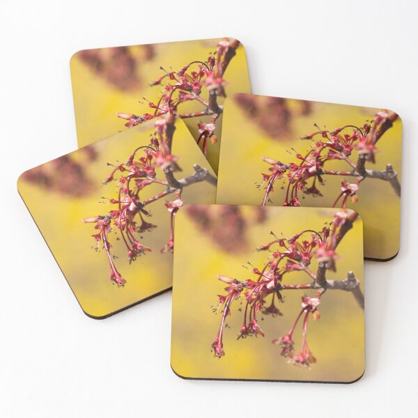 Item preview, Cherry tree with no flowers designed and sold by KellyRHarding.