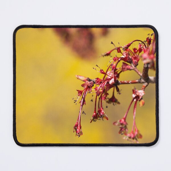 Item preview, Cherry tree with no flowers designed and sold by KellyRHarding.