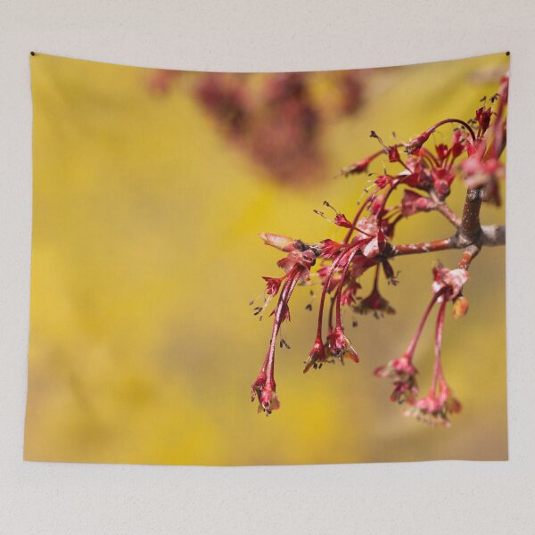 Item preview, Cherry tree with no flowers designed and sold by KellyRHarding.