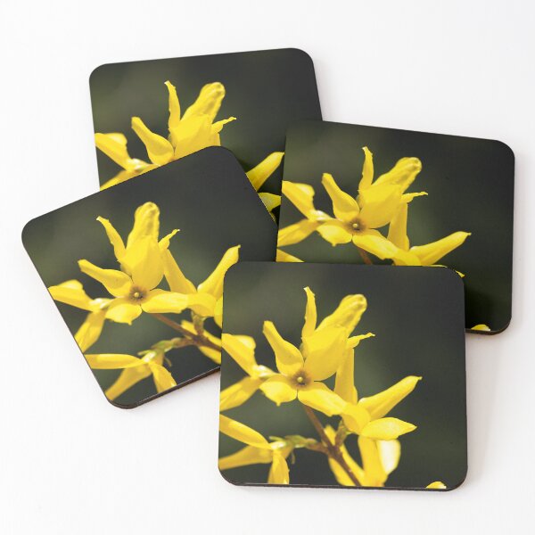 Item preview, Forsythia flower designed and sold by KellyRHarding.