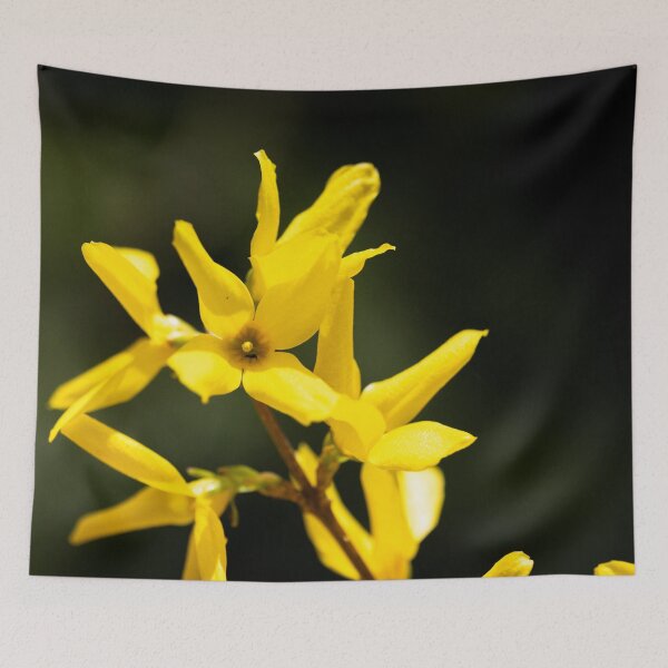 Item preview, Forsythia flower designed and sold by KellyRHarding.