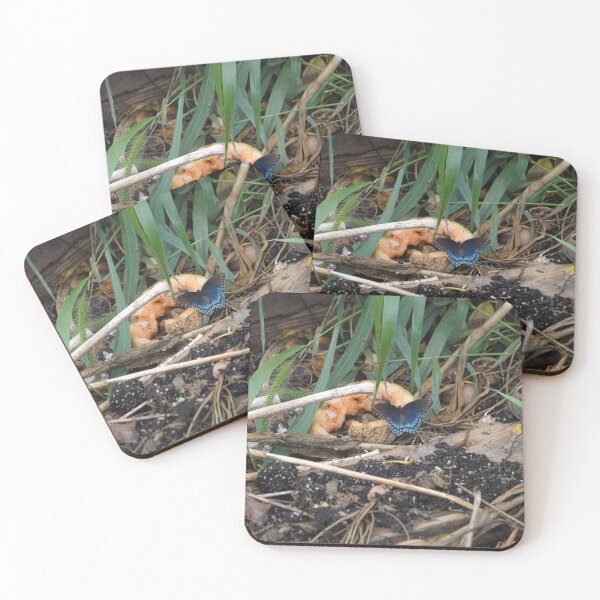 Item preview, Breakfast! designed and sold by NAImagery.