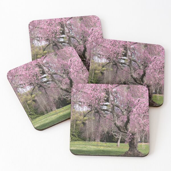 Item preview, Tree of pink blossoms designed and sold by KellyRHarding.
