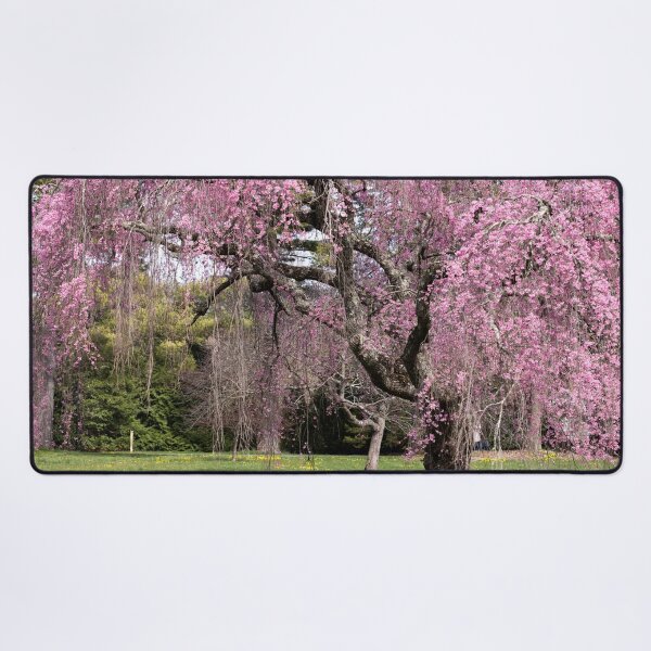 Item preview, Tree of pink blossoms designed and sold by KellyRHarding.
