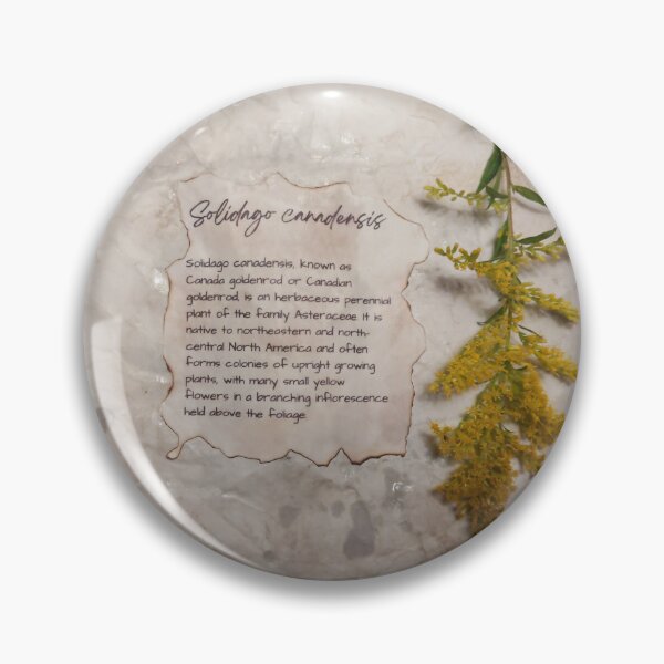 Item preview, Canadian Goldenrod scrapbook page designed and sold by Budibabe.