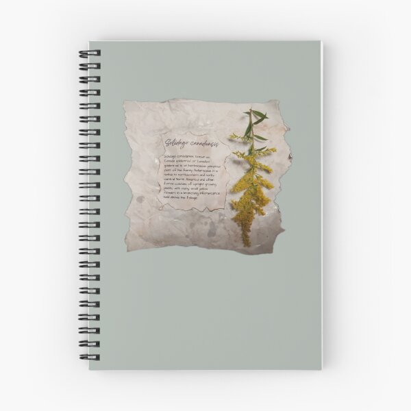 Item preview, Canadian Goldenrod scrapbook page designed and sold by Budibabe.