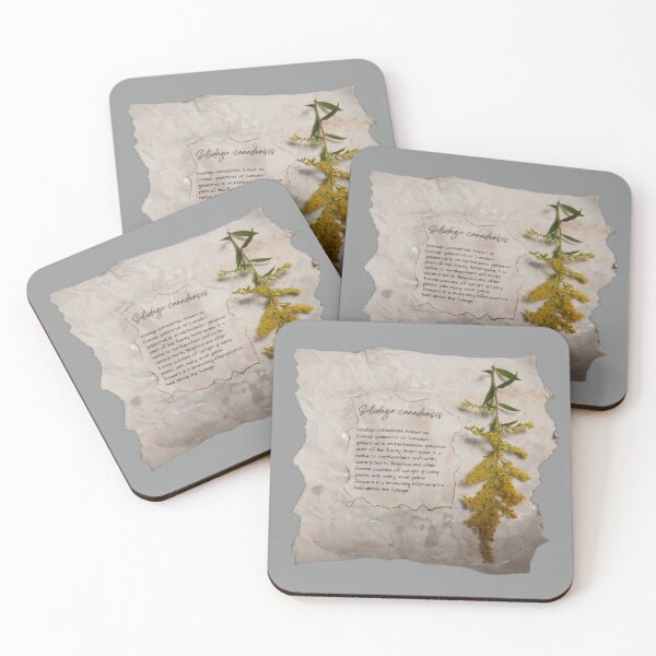 Item preview, Canadian Goldenrod scrapbook page designed and sold by Budibabe.