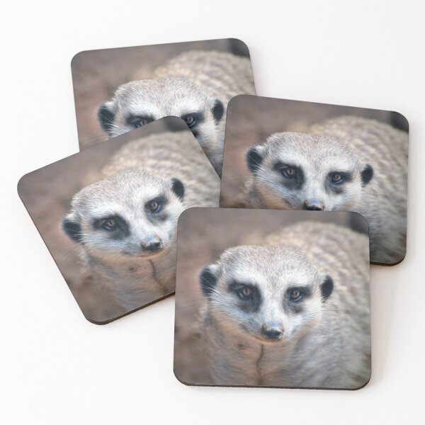 Item preview, Meerkat designed and sold by Savannah Gibbs.