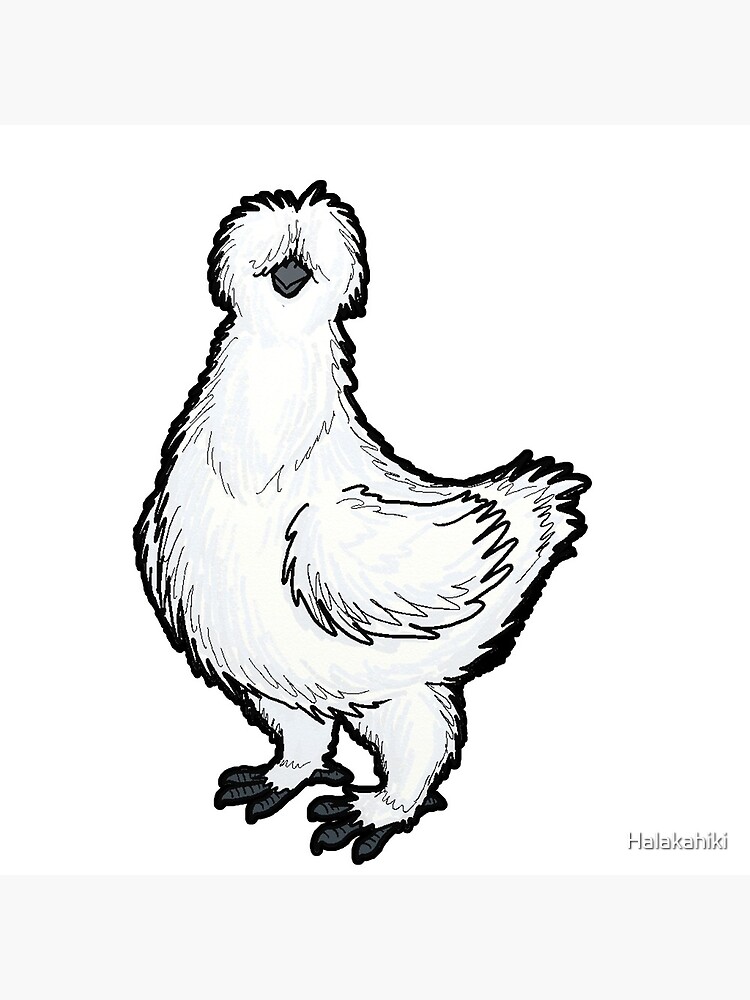 "Silkie Chicken" Art Print for Sale by Halakahiki | Redbubble