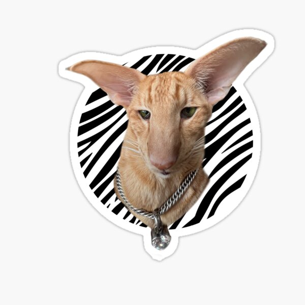 Item preview, Iced Out Keebler designed and sold by Hautecatture.