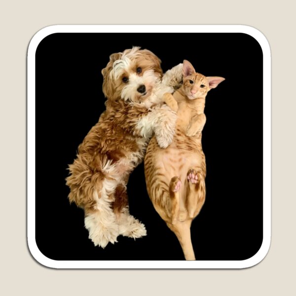 Item preview, Keebler & Oliver Cuddle designed and sold by Hautecatture.