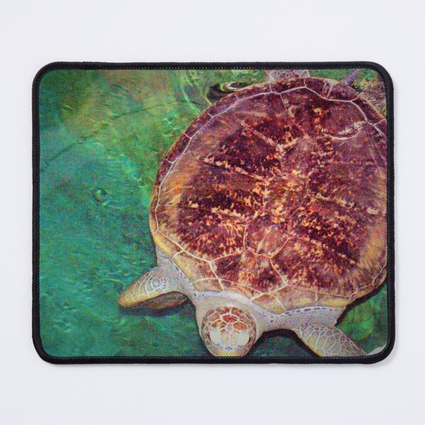 Item preview, Sea turtle at the aquarium designed and sold by B. Randi Bailey.