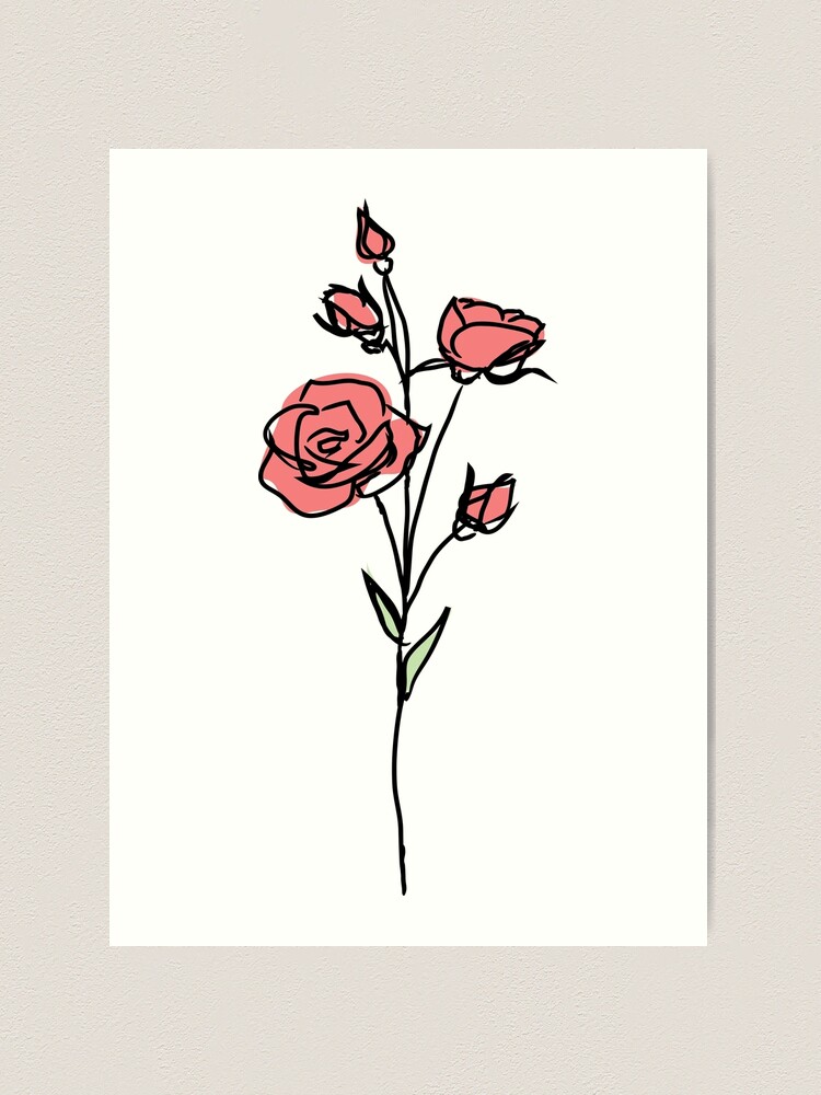 One line drawing. Decorative beautiful English garden rose
