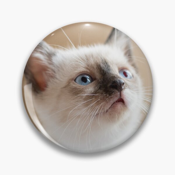 Item preview, siamese kitten designed and sold by sarelitay.