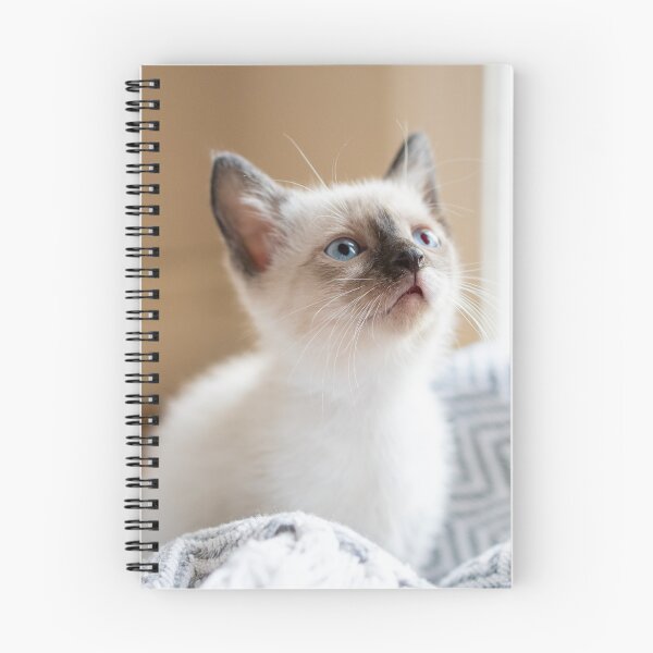 Item preview, siamese kitten designed and sold by sarelitay.