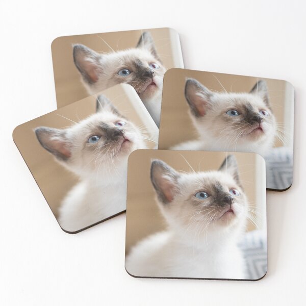 Item preview, siamese kitten designed and sold by sarelitay.