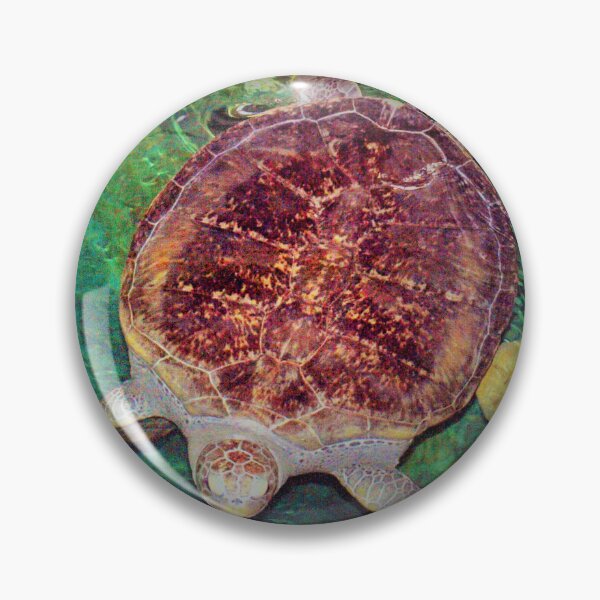 Item preview, Sea turtle at the aquarium designed and sold by B. Randi Bailey.