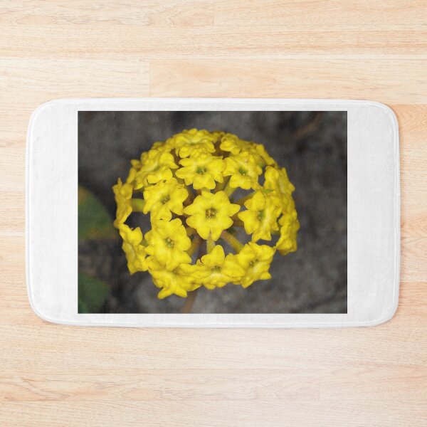 Item preview, Abronia latifolia (coastal yellow sand-verbena) flower designed and sold by SDym Photography.
