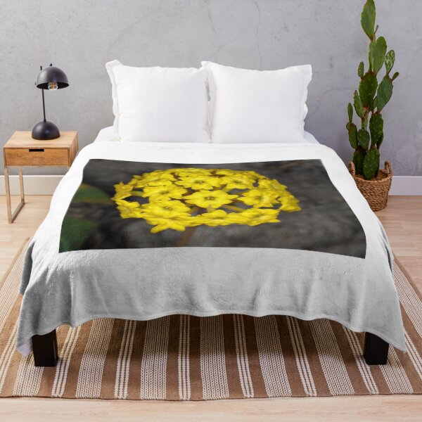 Item preview, Abronia latifolia (coastal yellow sand-verbena) flower designed and sold by SDym Photography.