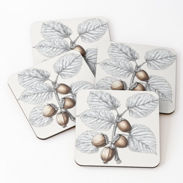 Item preview, Hazel Branch with leaves and hazelnuts, botanical illustration designed and sold by Edith Leyster.