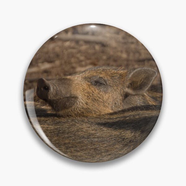 Item preview, Wild boar piglets napping designed and sold by WildEncounters.