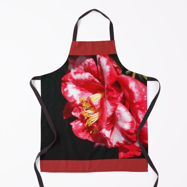 Item preview, Variegated Red Japonica Camellia designed and sold by Joy Watson - Natural Light Photography .