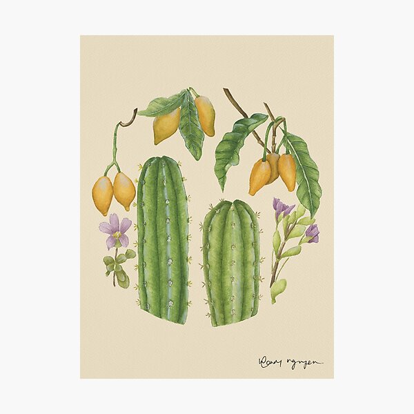Item preview, San Pedro and Iboga Beige designed and sold by greenerybywendy.